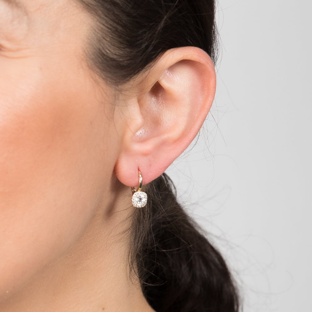 9ct Yellow Gold Fancy Hoop Earrings with Shimmering Cubic Zirconia