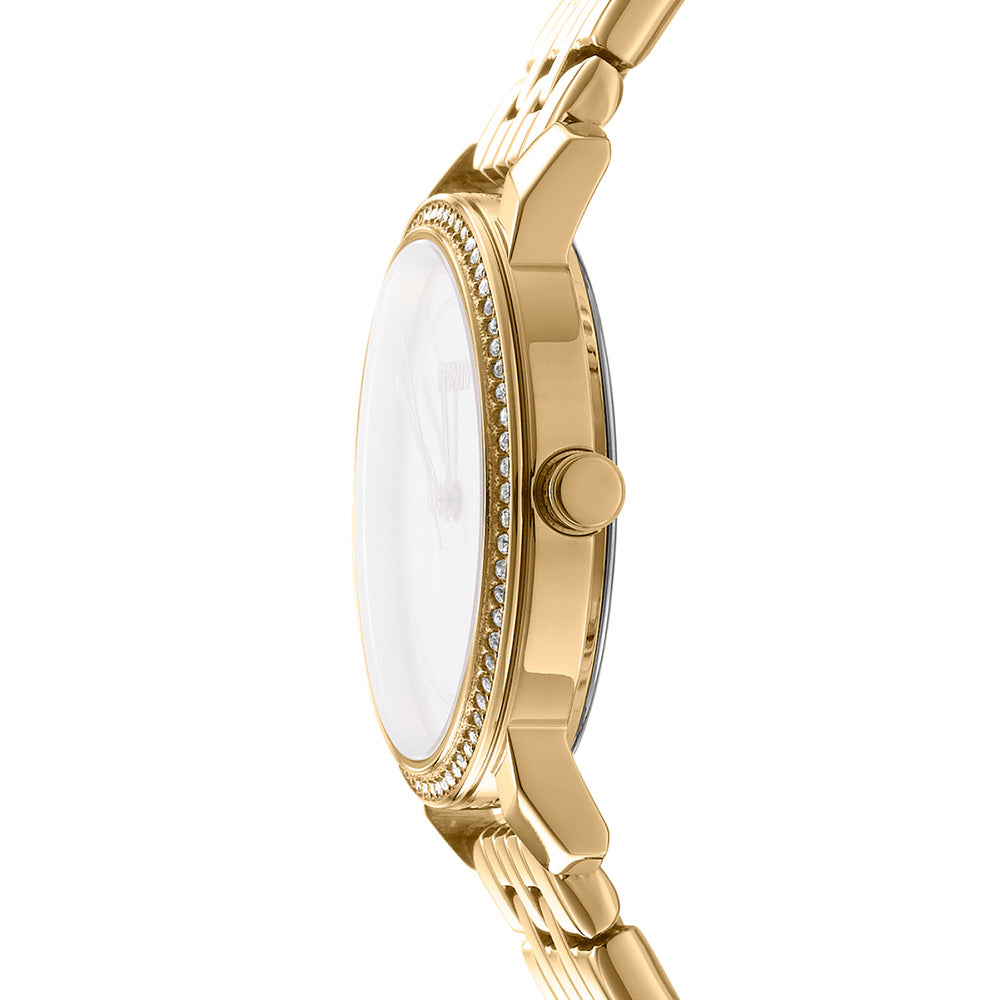DKNY Astoria Glitz Watch DK1L065M0045 with Japanese 3 - Hand Movement