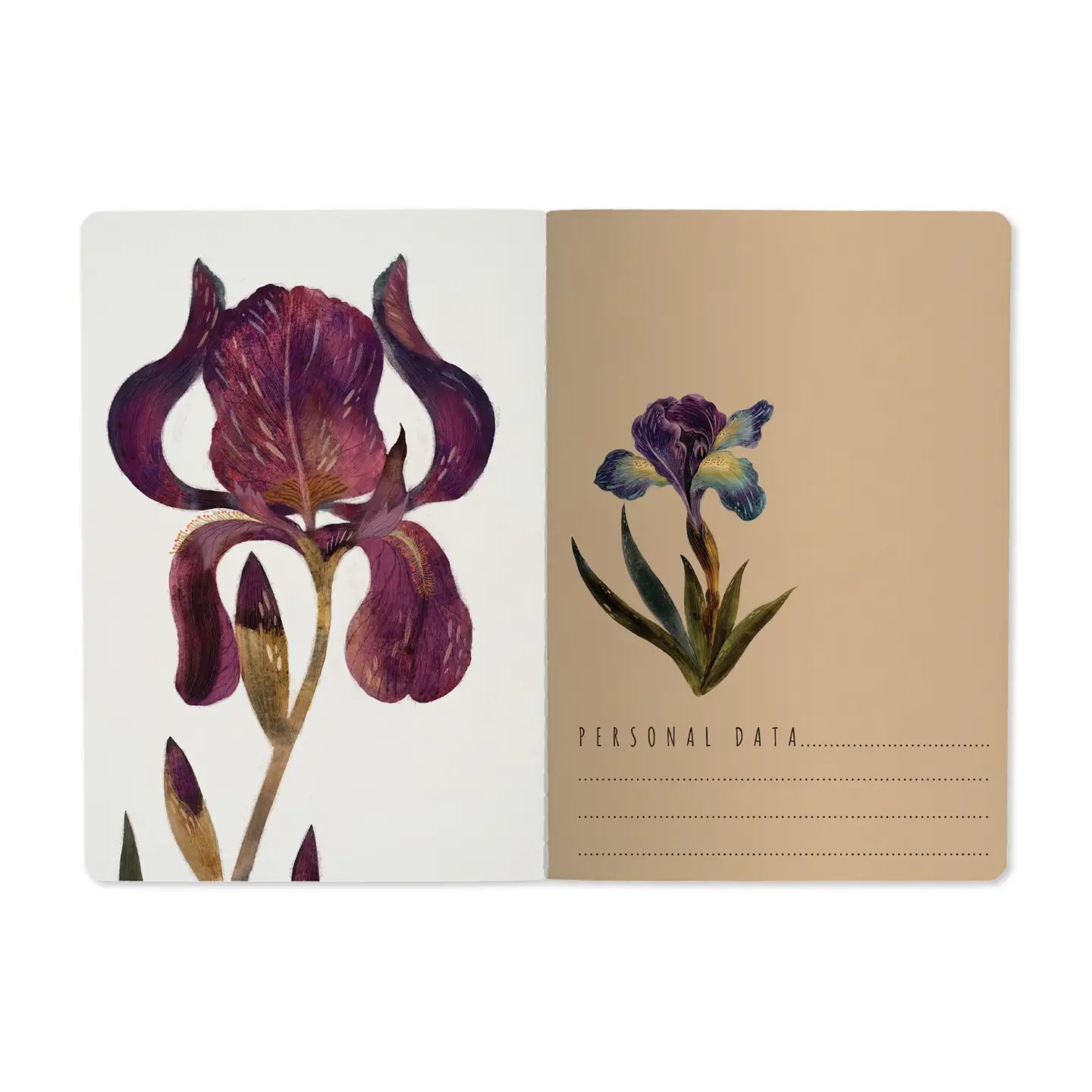 Bruno Visconti BV Irises Stylish Ruled Notebook for Creative Note - Taking