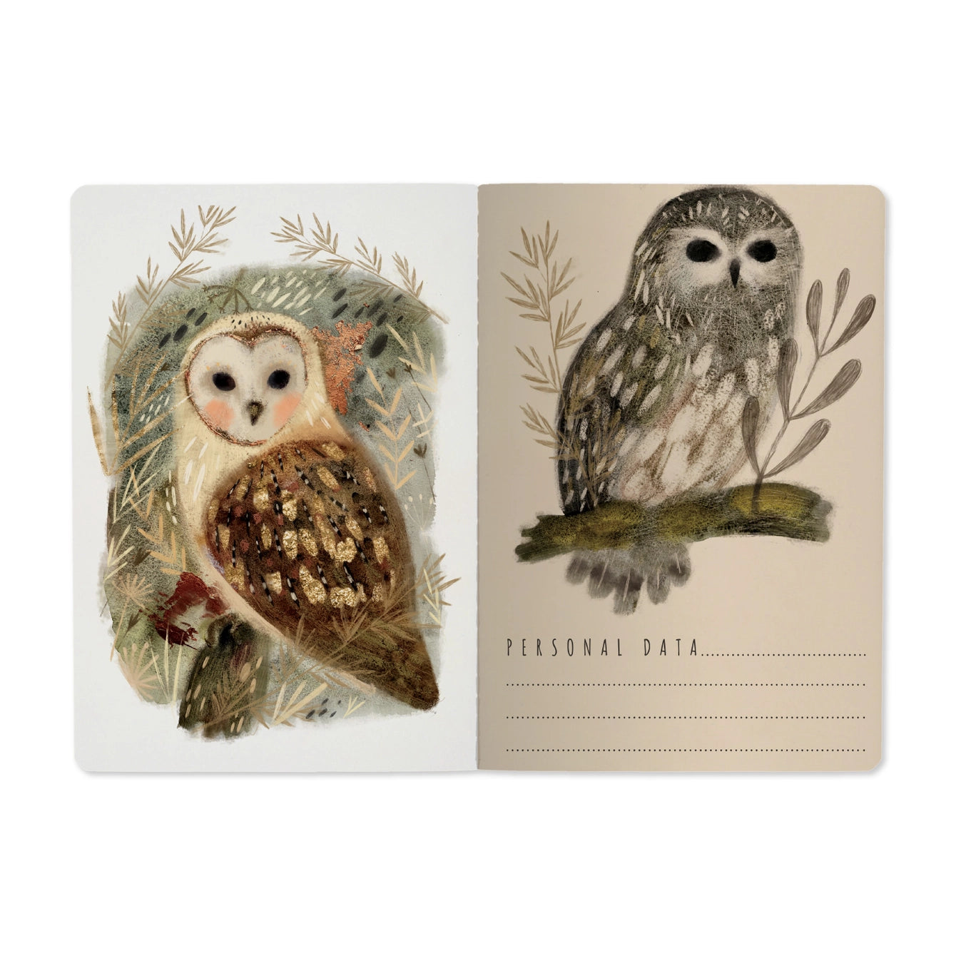 Bruno Visconti's BV Owls Notebook: A Durable and Playful Note - taking Companion